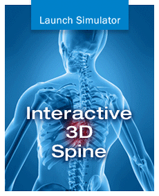 Spine Simulator